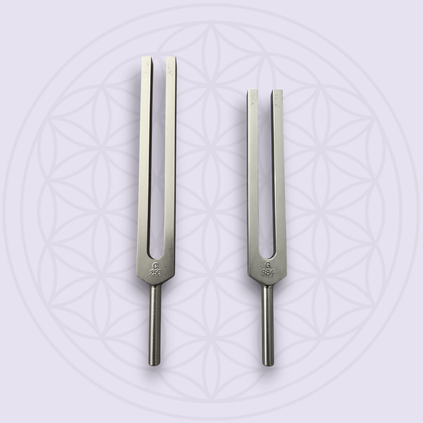 C & G Whole Body Tuning Forks SET OF 2