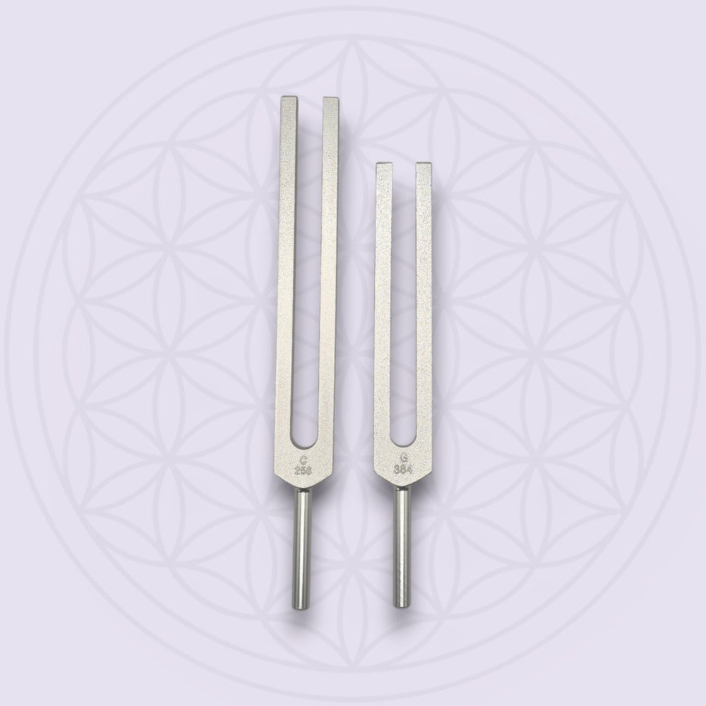 C＆G全身音叉２本セット