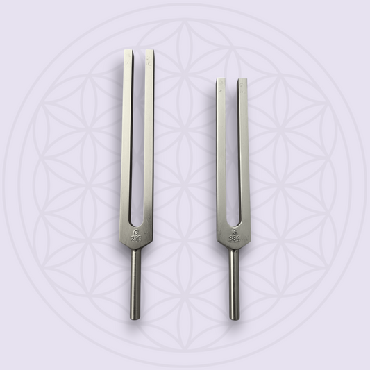 C & G Whole Body Tuning Forks SET OF 2