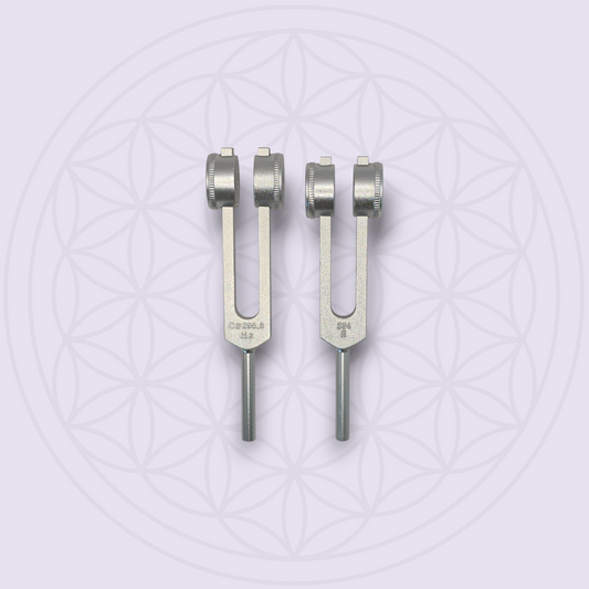 Cellulite Reduction  Set (Weighted)