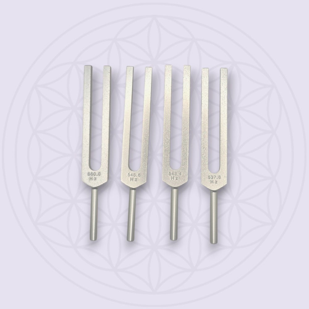 DNA Nucleotides Tuning Forks SET OF 4