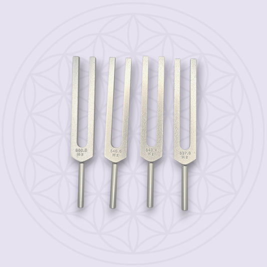 DNA Nucleotides Tuning Forks SET OF 4