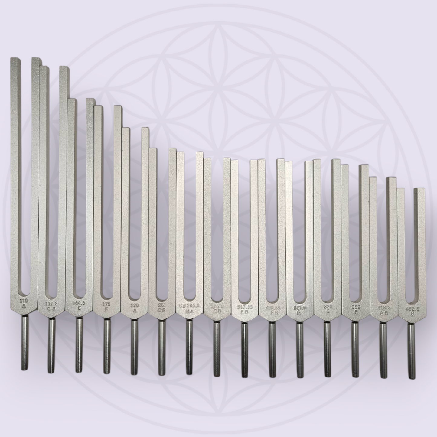 Human Organ 15 Tuning Forks Set