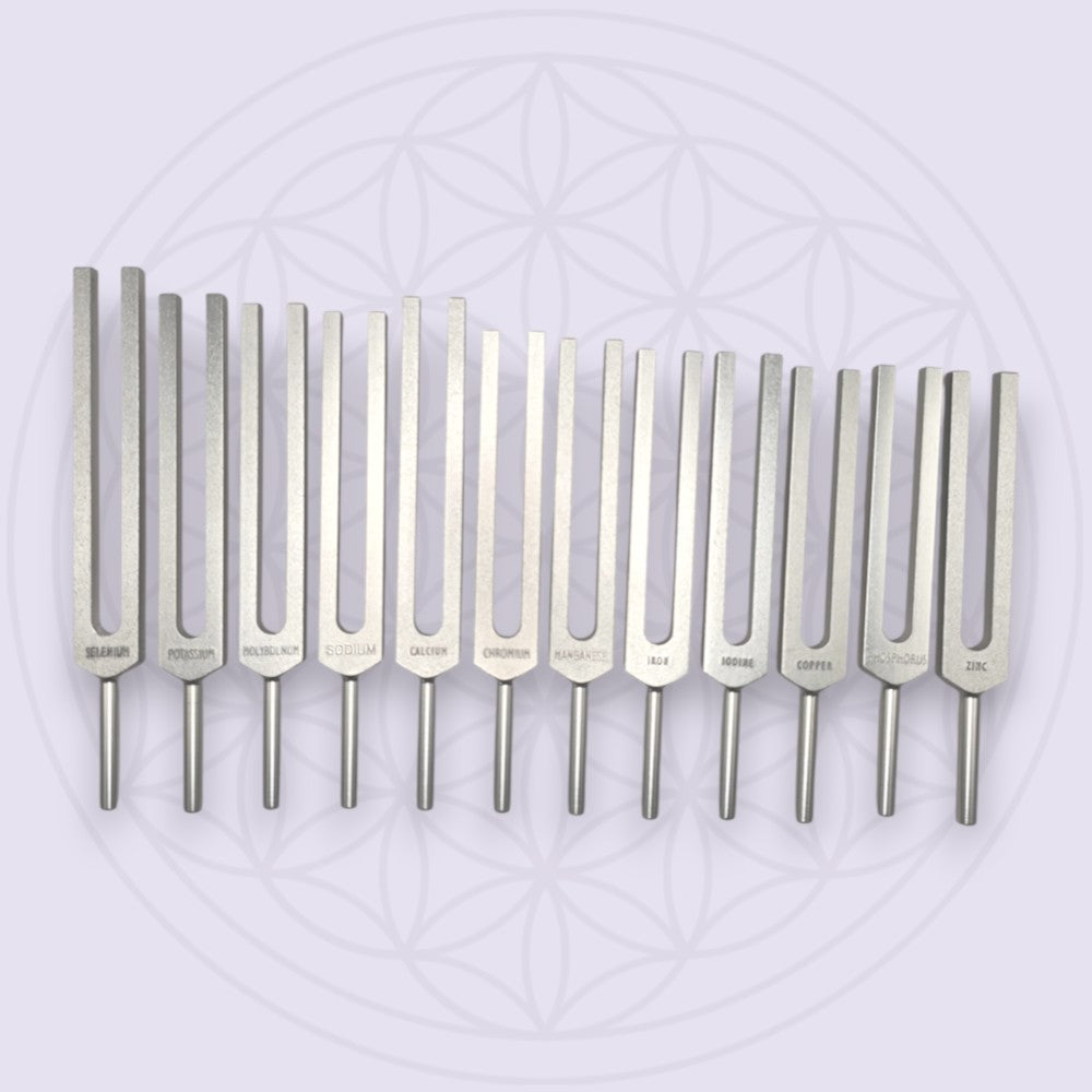 Mineral 12 Tuning Forks Set