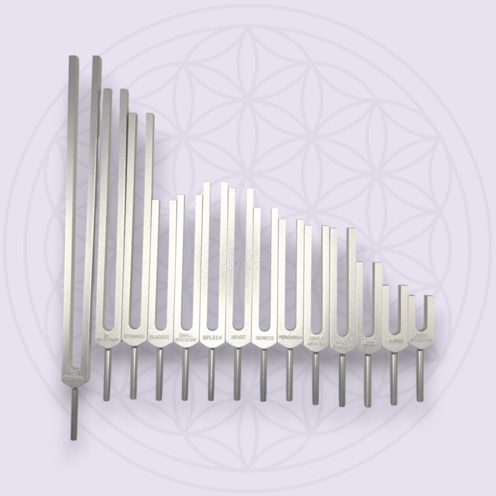 経絡（けいらく）音叉１４本セット