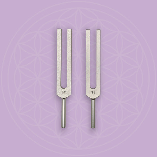 Schumann Frequency 7.83Hz SET OF 2